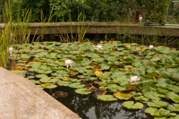 StudioLaMagica Workshop in Privatvilla im Kinzigtal